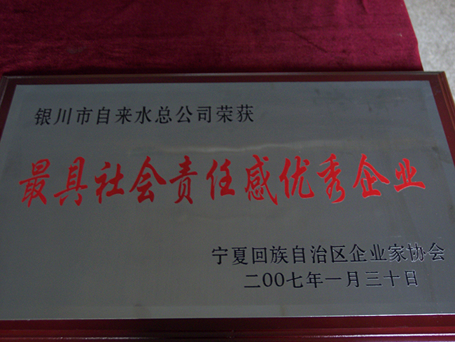 2007年自治区企业家协会最具社会责任感优秀企业