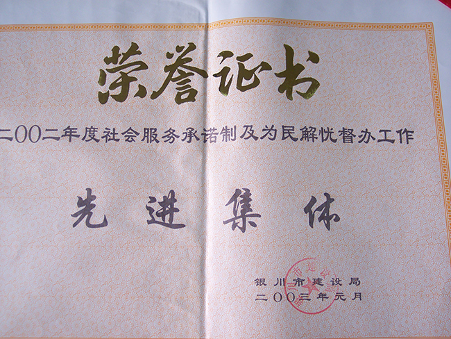 2002年度社会服务承诺及为人民解忧督办工作先进集体